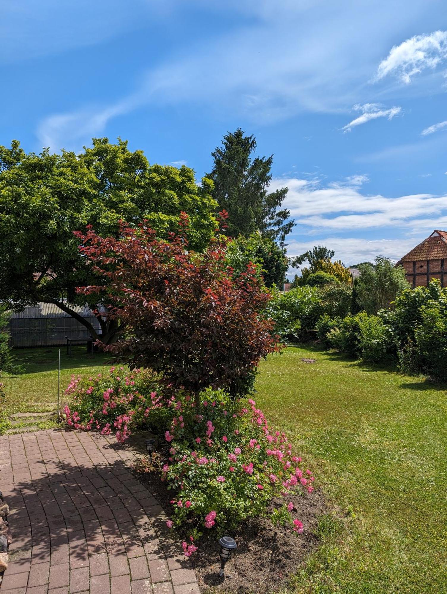 Ferienwohnung Bullersberg Balge 外观 照片