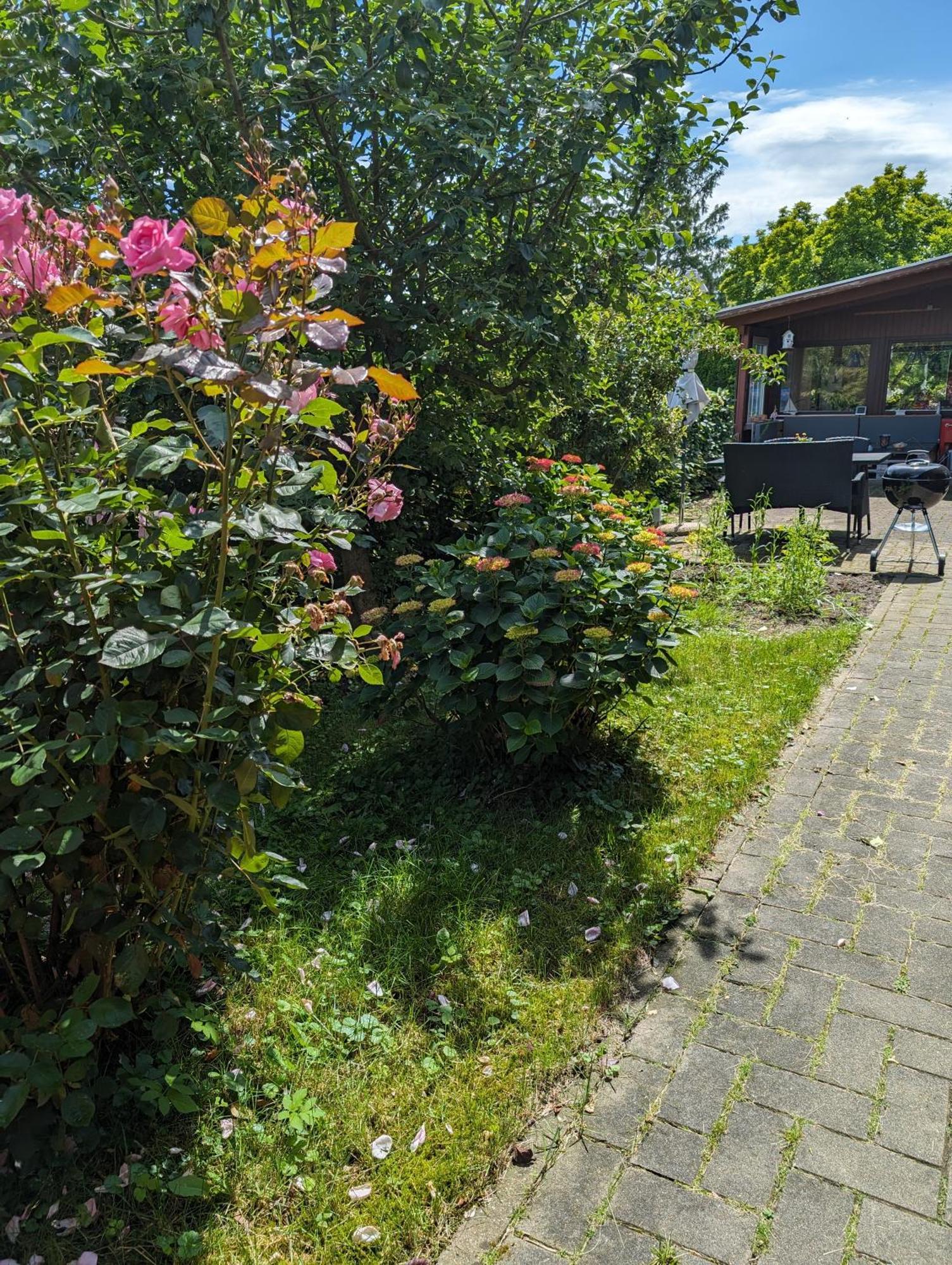 Ferienwohnung Bullersberg Balge 外观 照片